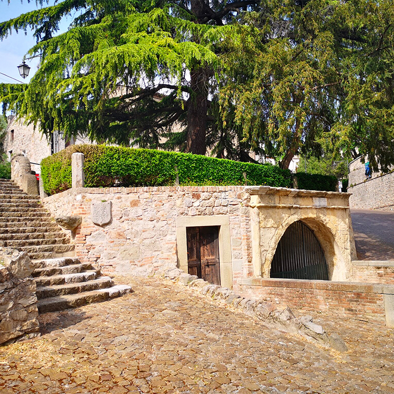 Piazza della Fontana del Petrarca